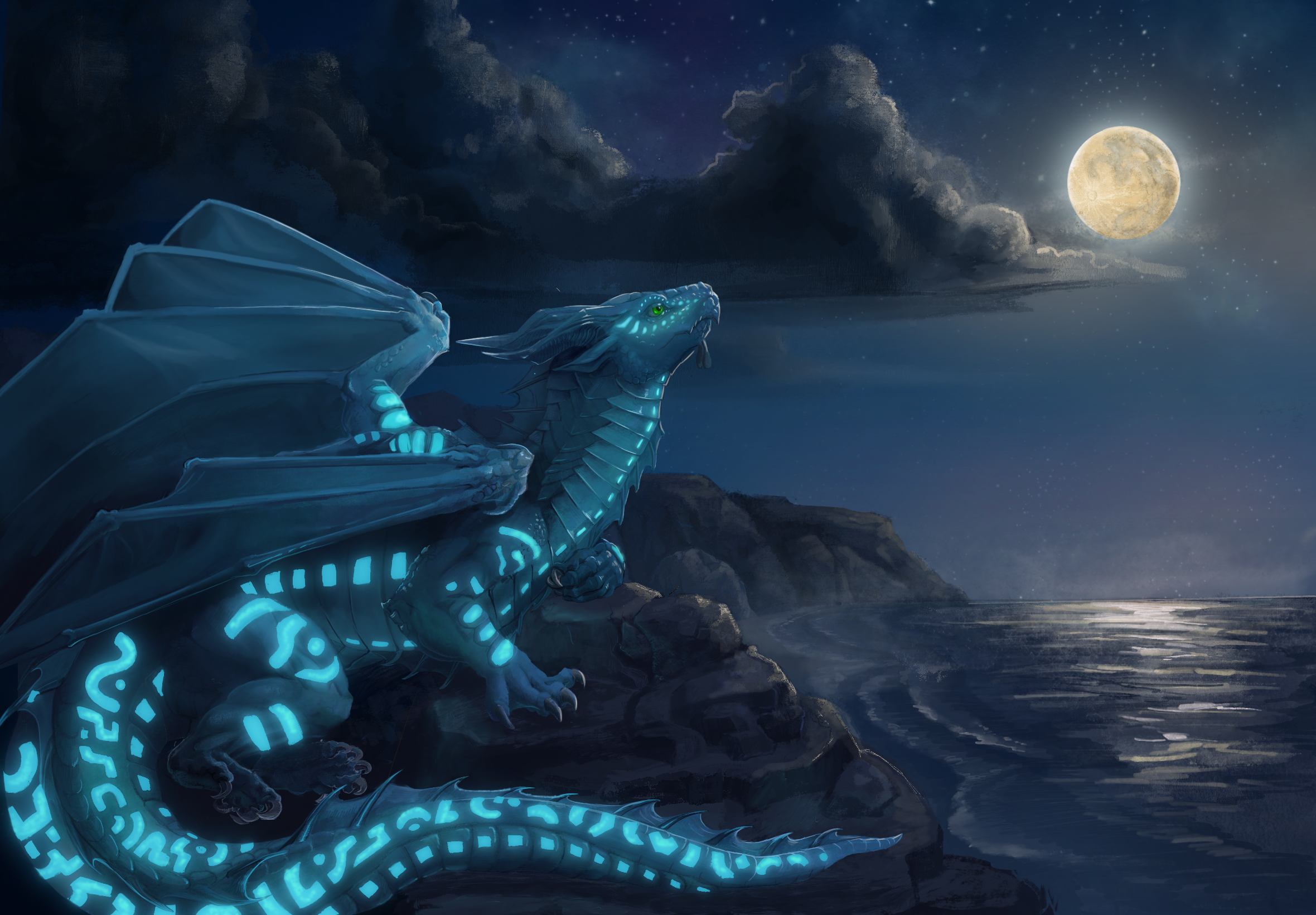 My SeaWing self sitting beside the ocean at night
